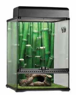 Exo Terra Bamboo Forest Kit Large