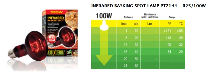Exo Terra Heat Glo Infrared Spot Lamp 100w 3 Exo Terra Heat Glo Infrared Spot Lamp 100w - Image 3