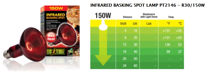 Exo Terra Heat Glo Infrared Spot Lamp 100w 4 Exo Terra Heat Glo Infrared Spot Lamp 100w - Image 4
