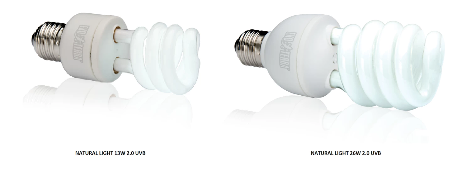 Exo Terra Repti Glo Natural Light / Full Spectrum Daylight Bulb 13W 2 Exo Terra Repti Glo Natural Light / Full Spectrum Daylight Bulb 13W - Image 2