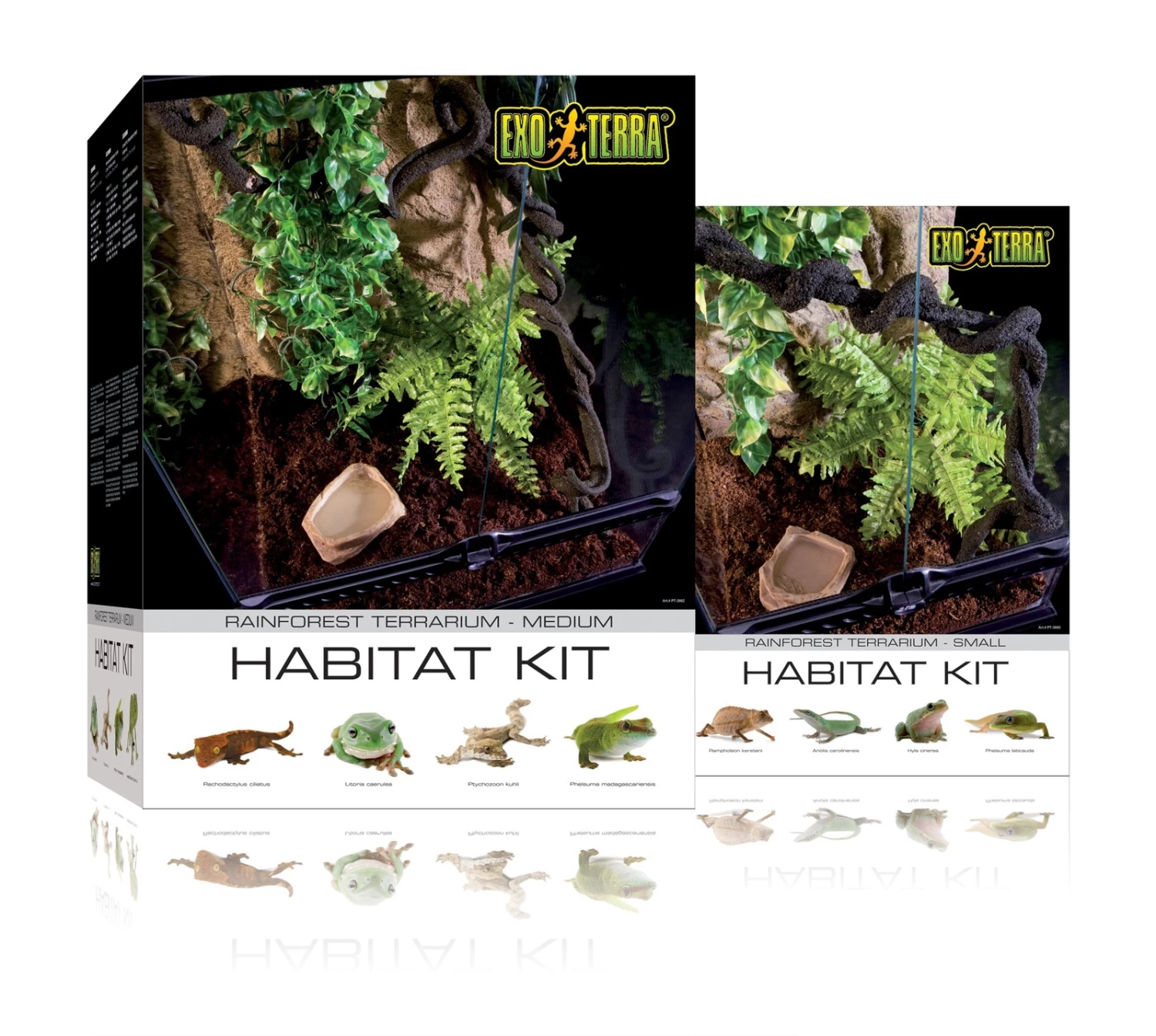 Exo Terra Rainforest Habitat Kit SMALL 2 Exo Terra Rainforest Habitat Kit SMALL - Image 2