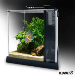 Fluval Betta Premium Aquarium Kit 10L -EXO TERRA Sales Shop fluvalbettakit