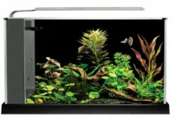 Fluval Spec 5 Desktop Aquarium 19L Black