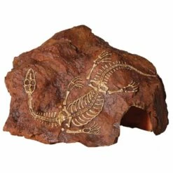 Reptile One Fossil Plesiosaur Rock