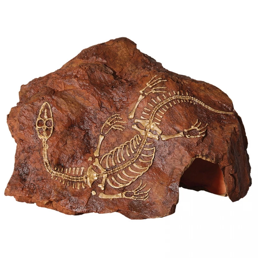 Reptile One Fossil Plesiosaur Rock 1 Reptile One Fossil Plesiosaur Rock