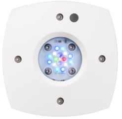 Aqua Illumination Prime 16HD Reef LED Black -EXO TERRA Sales Shop freshwaterprime16hdwhite1