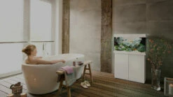 Juwel Rio 350 LED Aquarium - Black -EXO TERRA Sales Shop fv juwel header 16 9 aquarien rio38 l