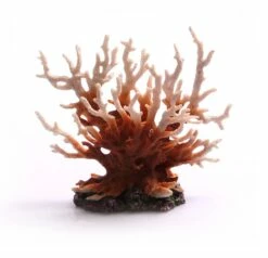 Gorgonian Coral