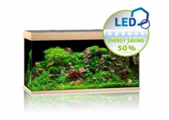 Juwel Rio 350 LED Aquarium - Black -EXO TERRA Sales Shop juwel350lightwoodaquarium