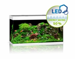Juwel Rio 350 LED Aquarium - Black -EXO TERRA Sales Shop juwel350whiteaquarium