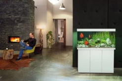 Juwel Rio 180 LED Aquarium - Black -EXO TERRA Sales Shop juwelaquariumsetlivingroom