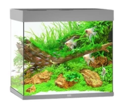 Juwel Lido 120 LED Aquarium - Black 17 Juwel Lido 120 LED Aquarium - Black -EXO TERRA Sales Shop juwelgreylido120new