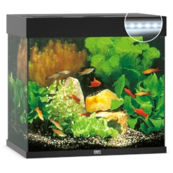 Juwel Lido 120 LED Aquarium - Black