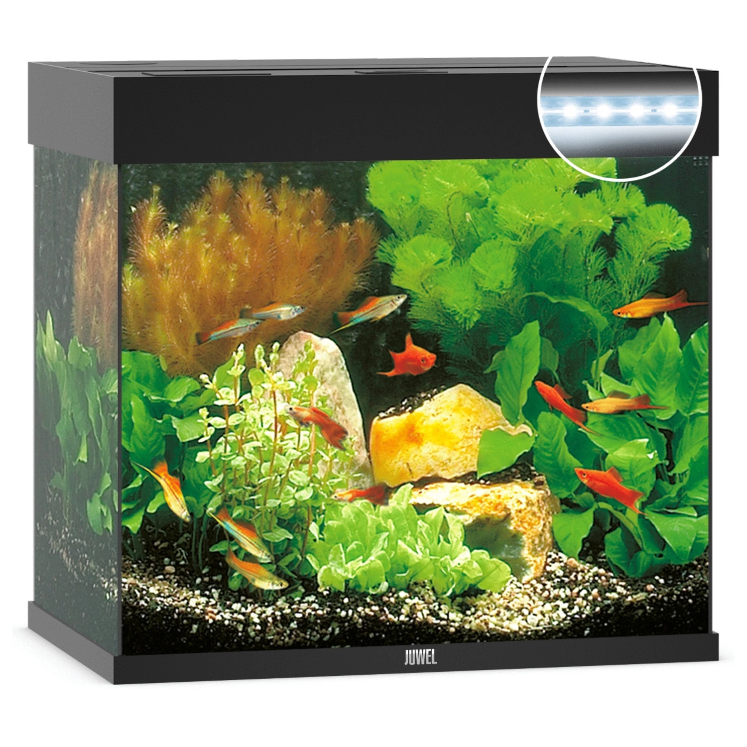 Juwel Lido 120 LED Aquarium - Black 1 Juwel Lido 120 LED Aquarium - Black