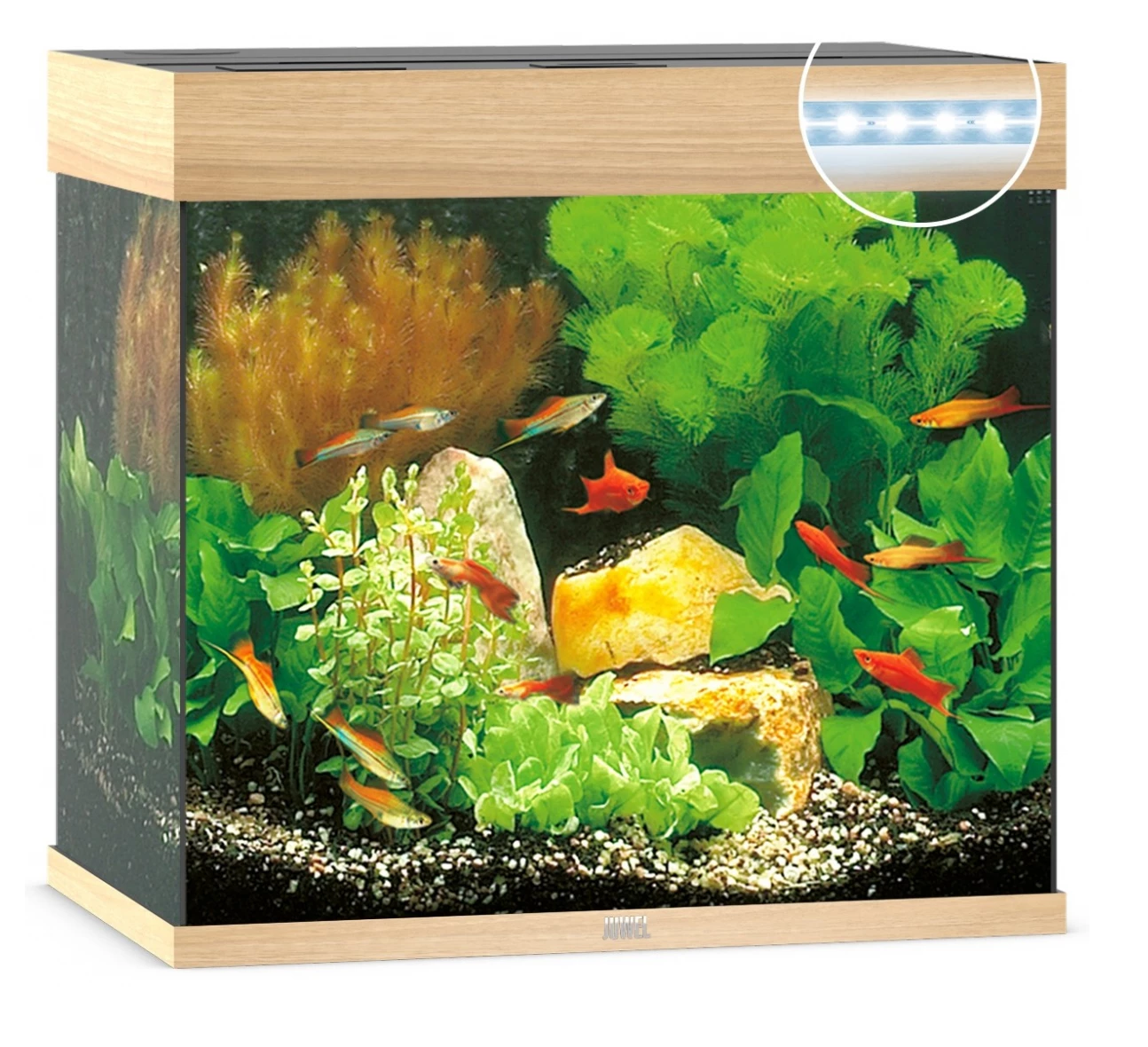 Juwel Lido 120 LED Aquarium - Black 9 Juwel Lido 120 LED Aquarium - Black - Image 9