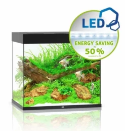 Juwel Lido 200 LED Aquarium - Grey 8 Juwel Lido 200 LED Aquarium - Grey -EXO TERRA Sales Shop juwellido200blkaquarium