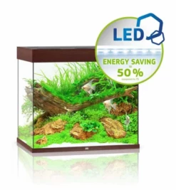 Juwel Lido 200 LED Aquarium - Grey 9 Juwel Lido 200 LED Aquarium - Grey -EXO TERRA Sales Shop juwellido200darkwoodaquarium