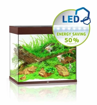 Juwel Lido 200 LED Aquarium - Grey 4 Juwel Lido 200 LED Aquarium - Grey - Image 4