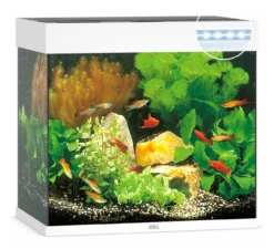 Juwel Lido 120 LED Aquarium - Black 19 Juwel Lido 120 LED Aquarium - Black -EXO TERRA Sales Shop juwellidowhite120