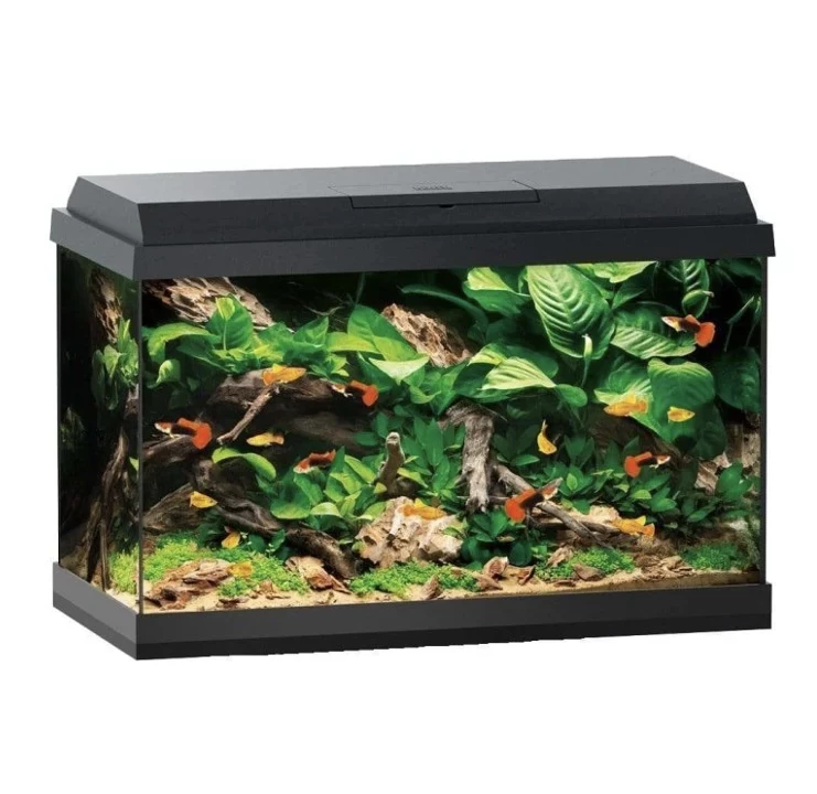 Juwel Primo 70 White 4 Juwel Primo 70 White - Image 4