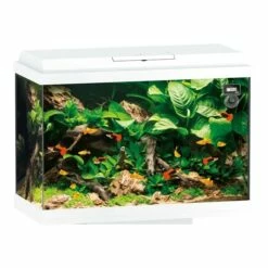 Juwel Primo 70 White