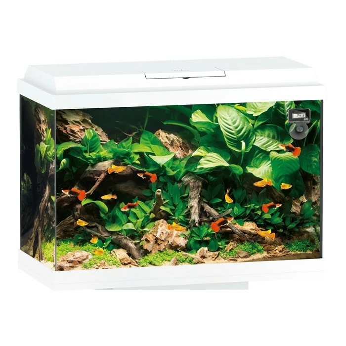 Juwel Primo 70 White 1 Juwel Primo 70 White