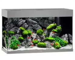 Juwel Rio 125 LED Aquarium - Black -EXO TERRA Sales Shop juwelrio125darkgreyaquarium