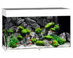 Juwel Rio 125 LED Aquarium - Black -EXO TERRA Sales Shop juwelrio125whiteaquarium