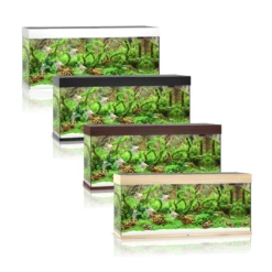 Juwel Rio 240 LED Aquarium - White -EXO TERRA Sales Shop juwelrio240aquariumonlyset