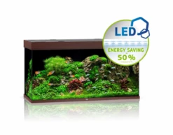Juwel Rio 350 LED Aquarium - Black -EXO TERRA Sales Shop juwelrio350aquariumdarkwood