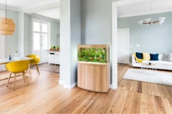 Juwel Vision 180 LED Aquarium - Light Wood 7 Juwel Vision 180 LED Aquarium - Light Wood -EXO TERRA Sales Shop juwelvision180setup