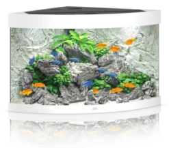 Juwel Trigon 190 LED Corner Aquarium - Black -EXO TERRA Sales Shop juwelwhitetrigon190