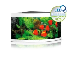 Juwel Trigon 350 LED Corner Aquarium - Black 13 Juwel Trigon 350 LED Corner Aquarium - Black -EXO TERRA Sales Shop jwl149whitetrigon350aquarium