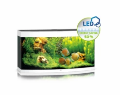 Juwel Vision 260 LED Aquarium - Black -EXO TERRA Sales Shop jwl431awhitevision260aquarium