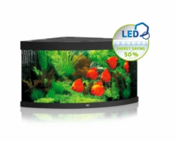 Juwel Trigon 350 LED Corner Aquarium - Black
