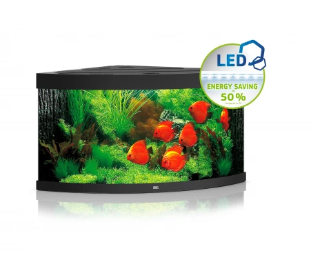 Juwel Trigon 350 LED Corner Aquarium - Black 1 Juwel Trigon 350 LED Corner Aquarium - Black