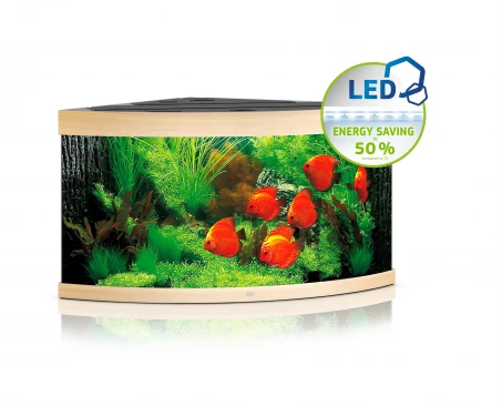 Juwel Trigon 350 LED Corner Aquarium - Black 6 Juwel Trigon 350 LED Corner Aquarium - Black - Image 6