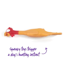 Kazoo Cheeky Chicken Squeaky Dog Toy - Large -EXO TERRA Sales Shop kazoocheekychickensqueakydogtoy3
