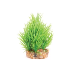 Kazoo Mini Plants Assorted -EXO TERRA Sales Shop kazoominiplantsassortedgreen