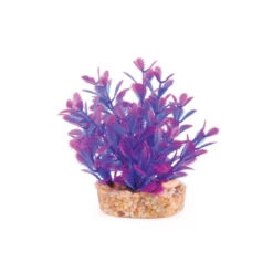 Kazoo Mini Plants Assorted -EXO TERRA Sales Shop kazoominiplantsassortedpurple