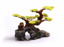 Large Bonsai