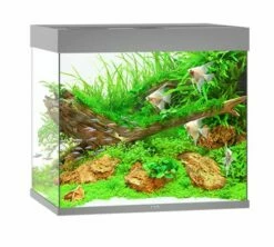 Juwel Lido 200 LED Aquarium - Grey