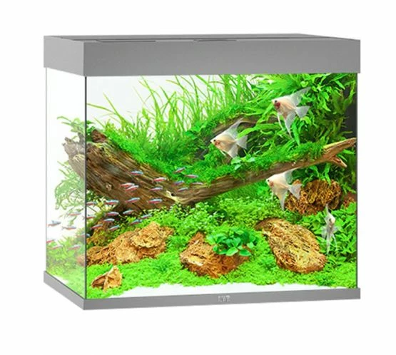 Juwel Lido 200 LED Aquarium - Grey 1 Juwel Lido 200 LED Aquarium - Grey