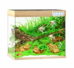 Juwel Lido 200 LED Aquarium - Grey 10 Juwel Lido 200 LED Aquarium - Grey -EXO TERRA Sales Shop lido200lightwood