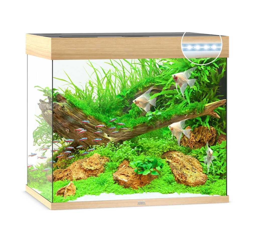 Juwel Lido 200 LED Aquarium - Grey 5 Juwel Lido 200 LED Aquarium - Grey - Image 5
