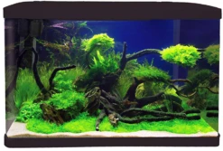 Aqua One Lifestyle 76 Aquarium Black