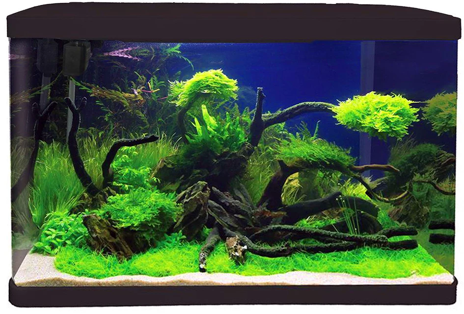 Aqua One Lifestyle 76 Aquarium Black 1 Aqua One Lifestyle 76 Aquarium Black