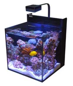 Red Sea MAX Nano Cube