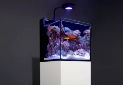Red Sea MAX Nano Cube -EXO TERRA Sales Shop maxnanoredsea