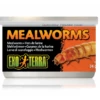 Exo Terra Mealworms 34gm